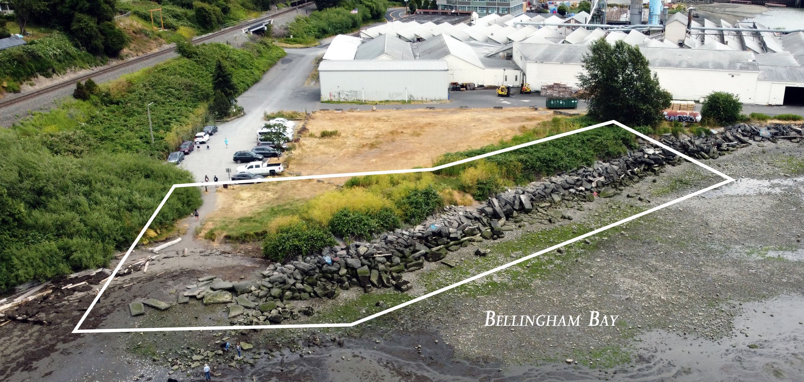 Squalicum Beach Park Shoreline 2