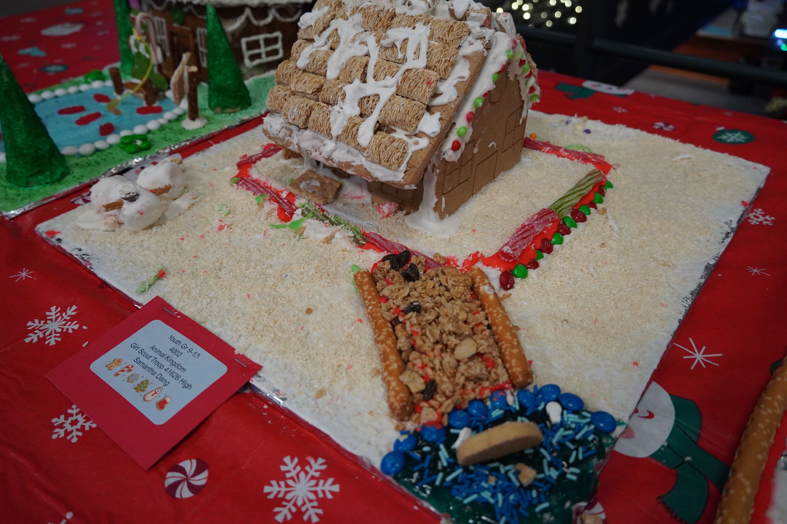 4002 Animal Kingdom Pic 2