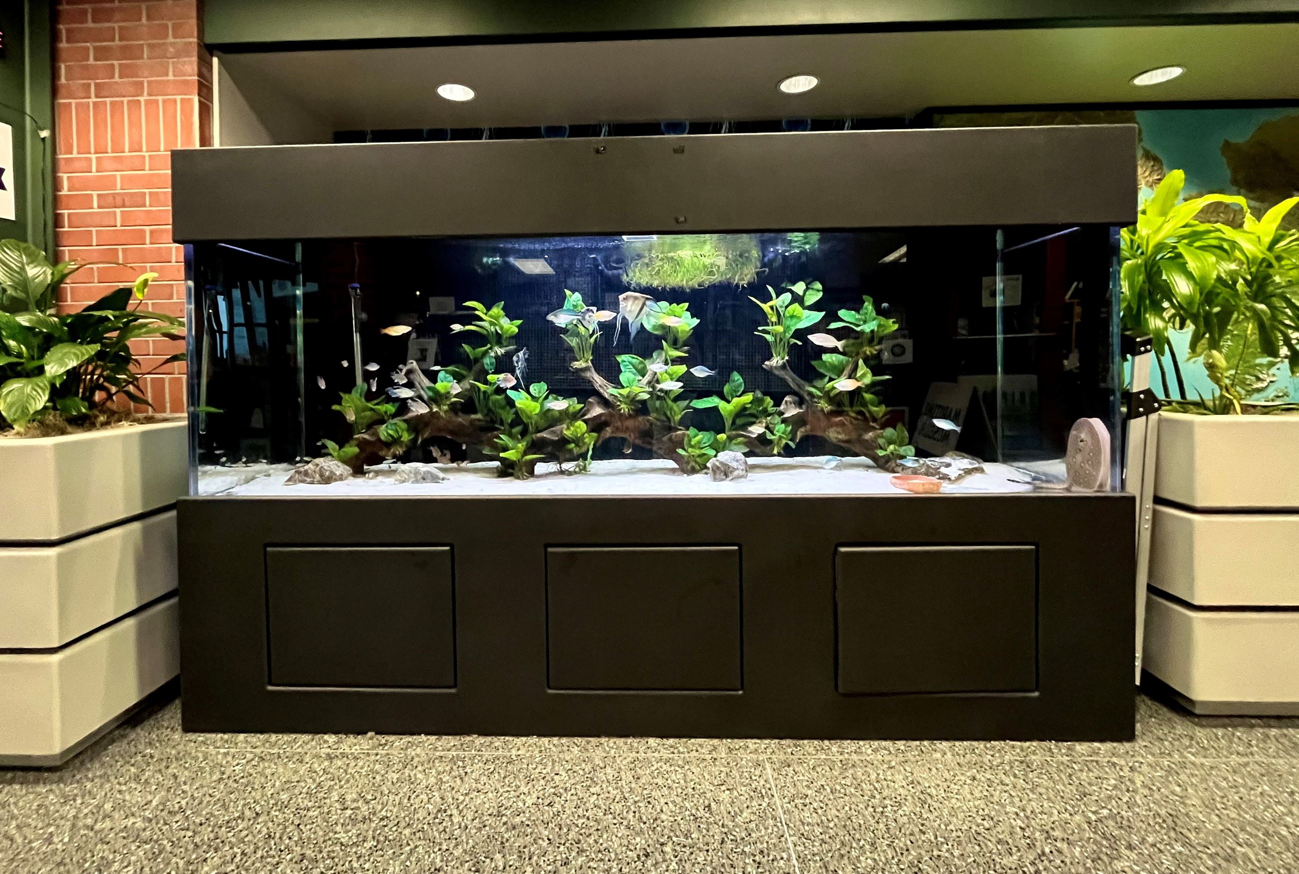 Freshwater Tank at Bellingham Cruise Terminal