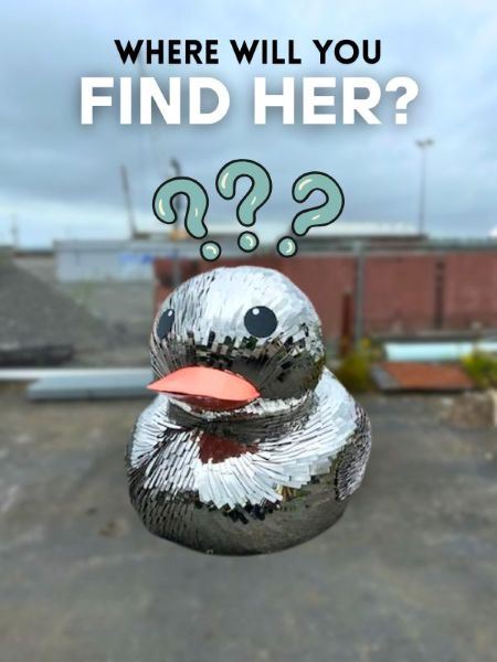 Disco Duck in a mystery location
