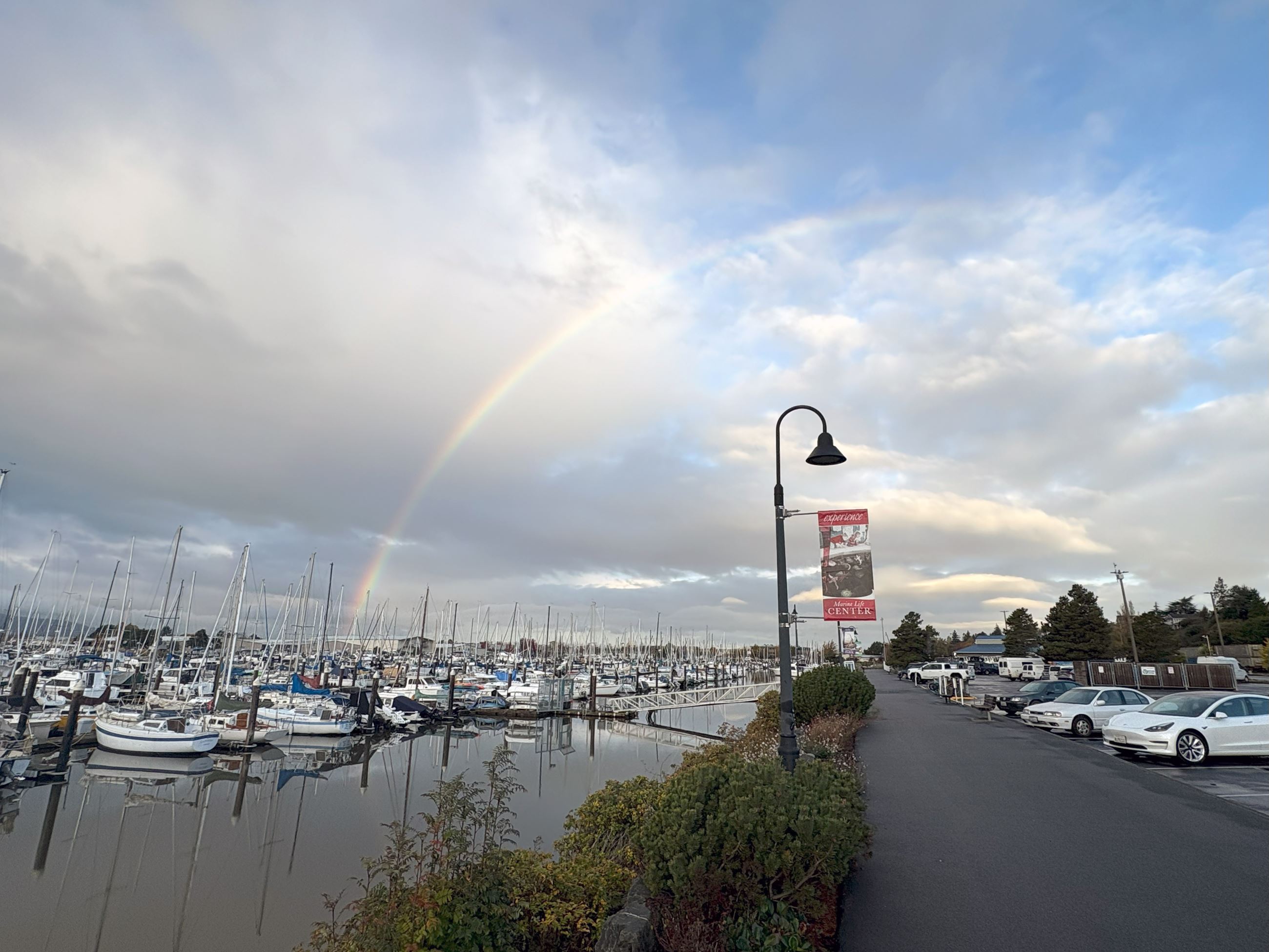 Squalicum Harbor Promenade