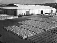 Aluminum on the shipping terminal