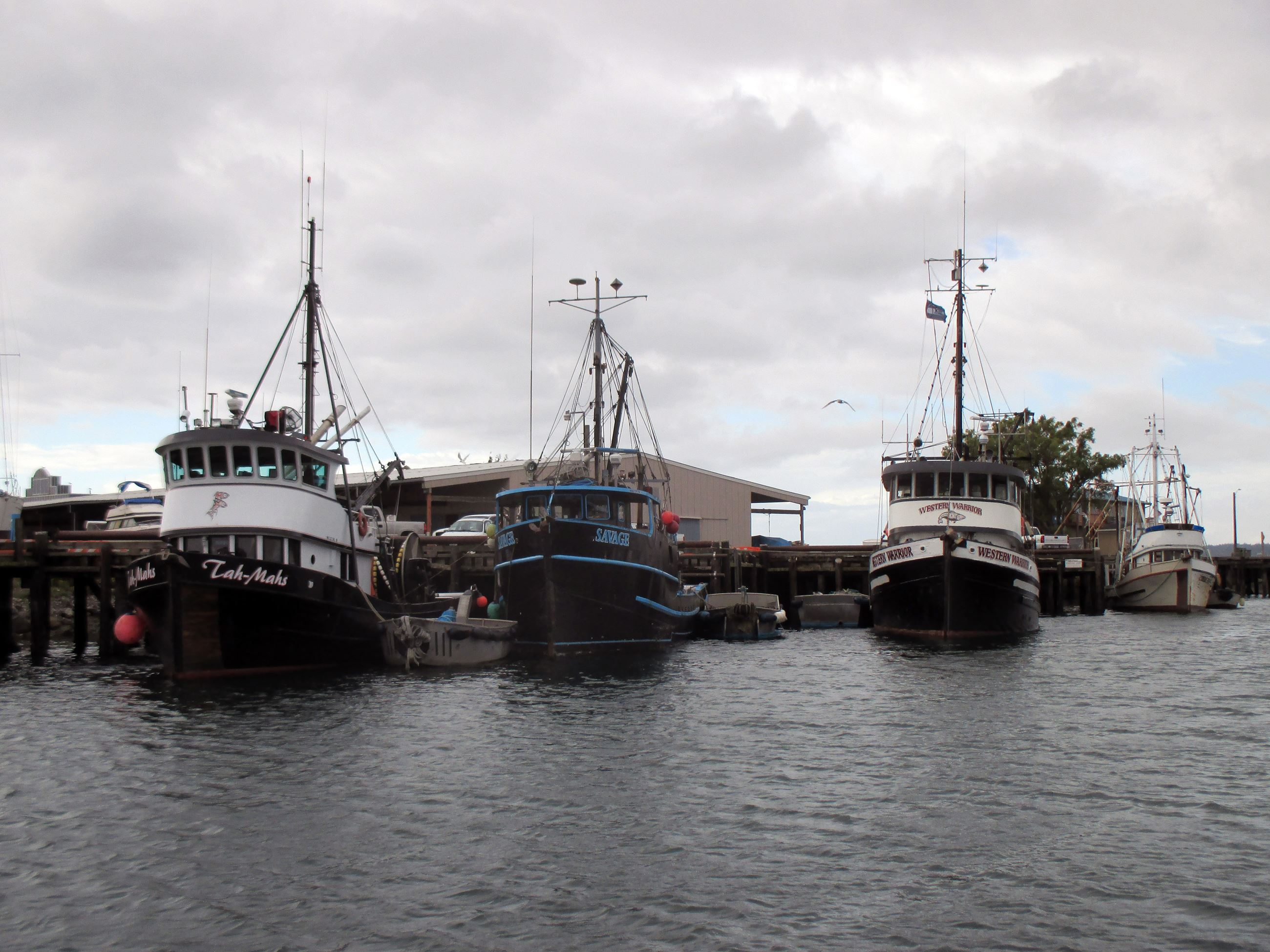 Blaine Harbor Maritime Sawtooth