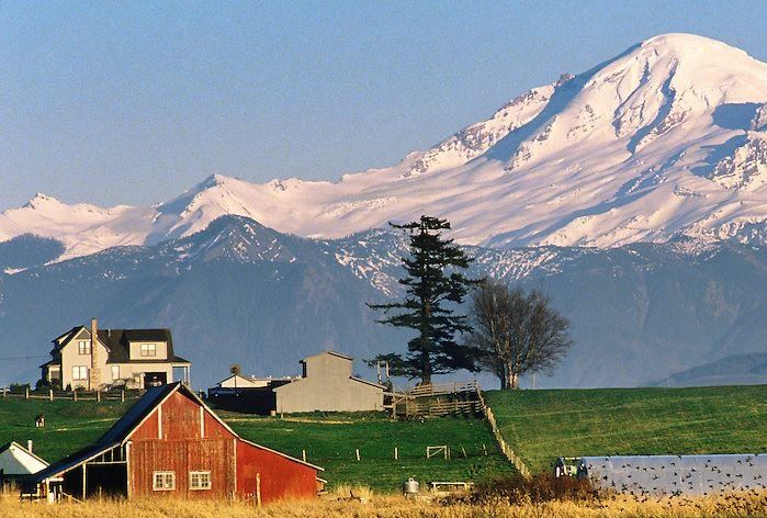 Mt. Baker Farmland