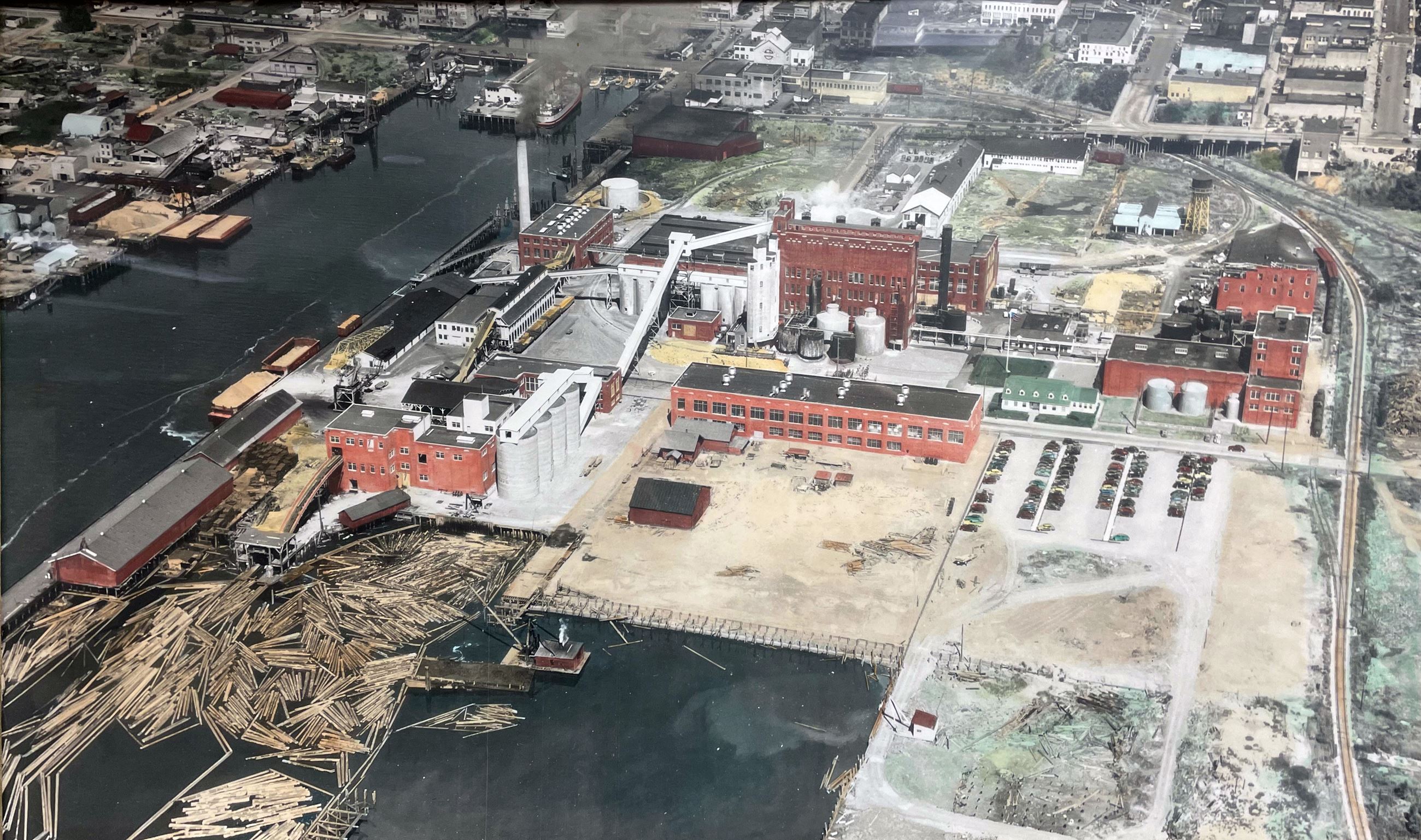 puget sound pulp and timber copy