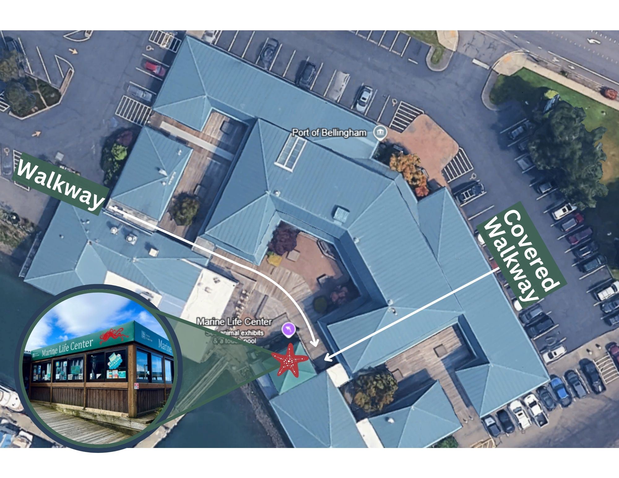 Map of Marine Life Center Location in Squalicum Harbor