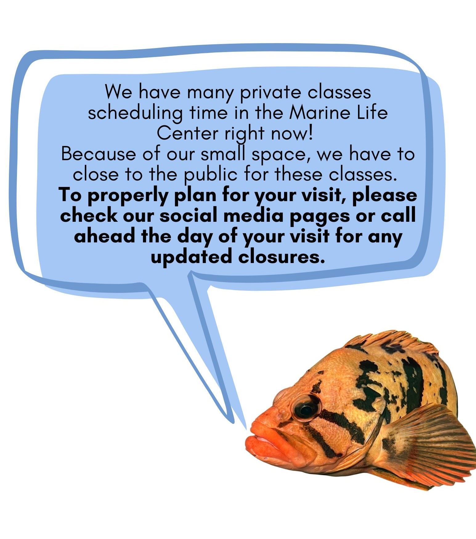 Class Closures at Marine Life Center - Check Social Media for Updates