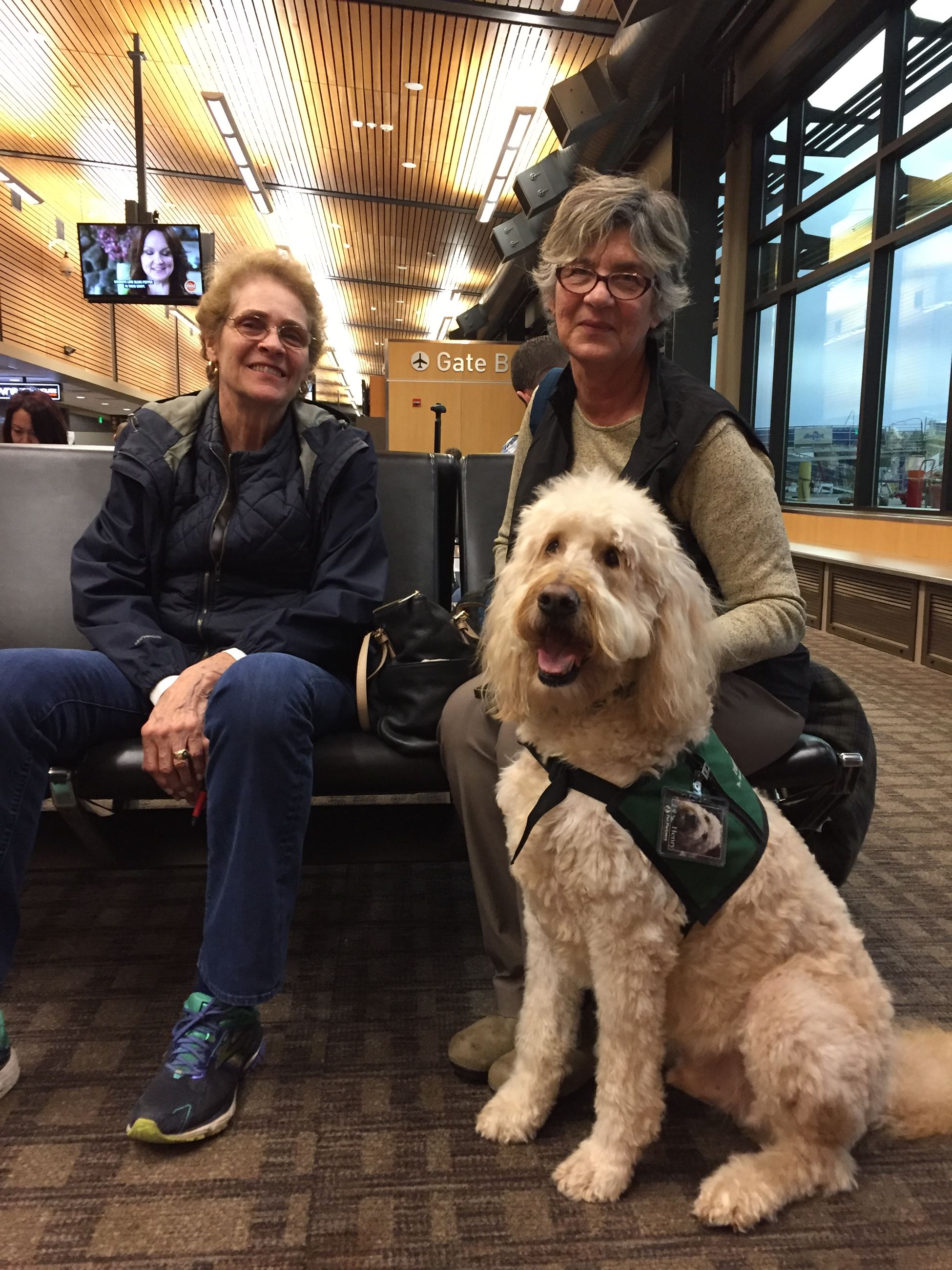 Whatcom Therapy Dog