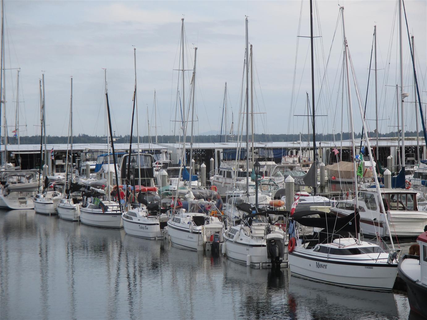 Sailboat Moored at Harbor