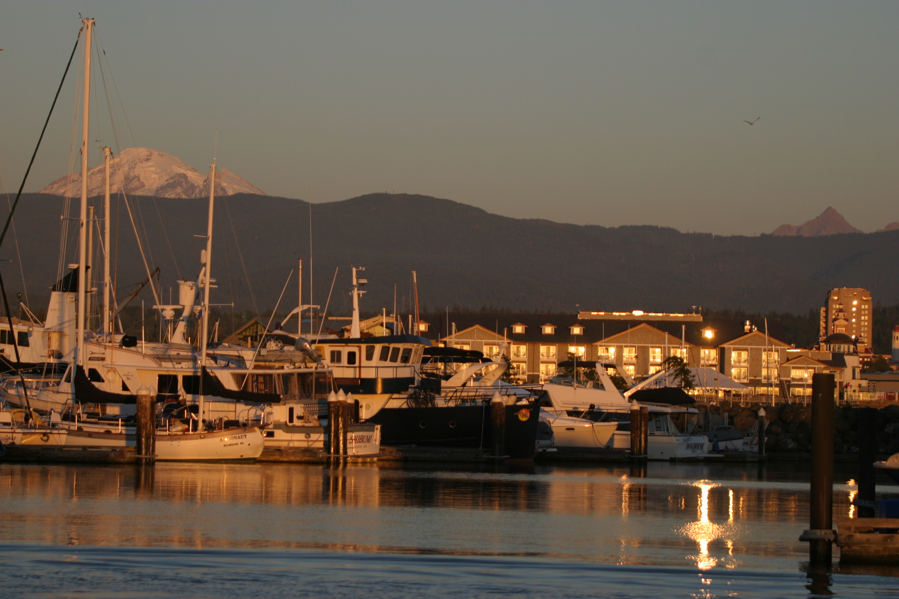 Boats in the marina