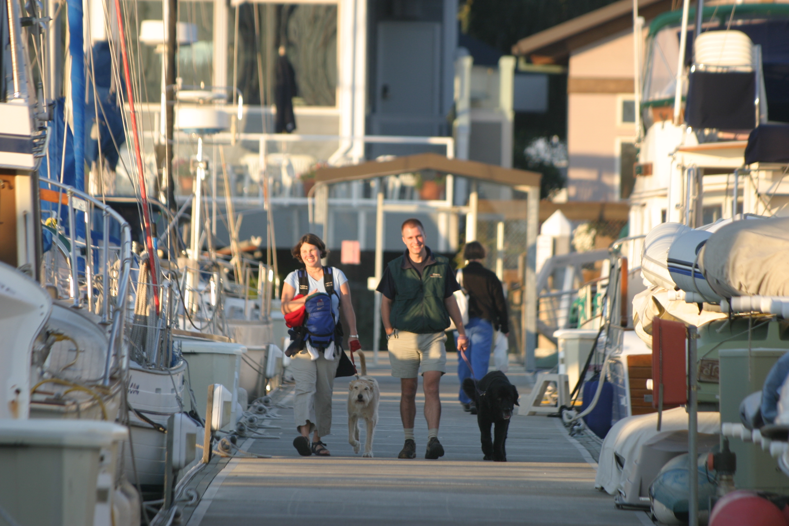 Couple walking dogs on the dock