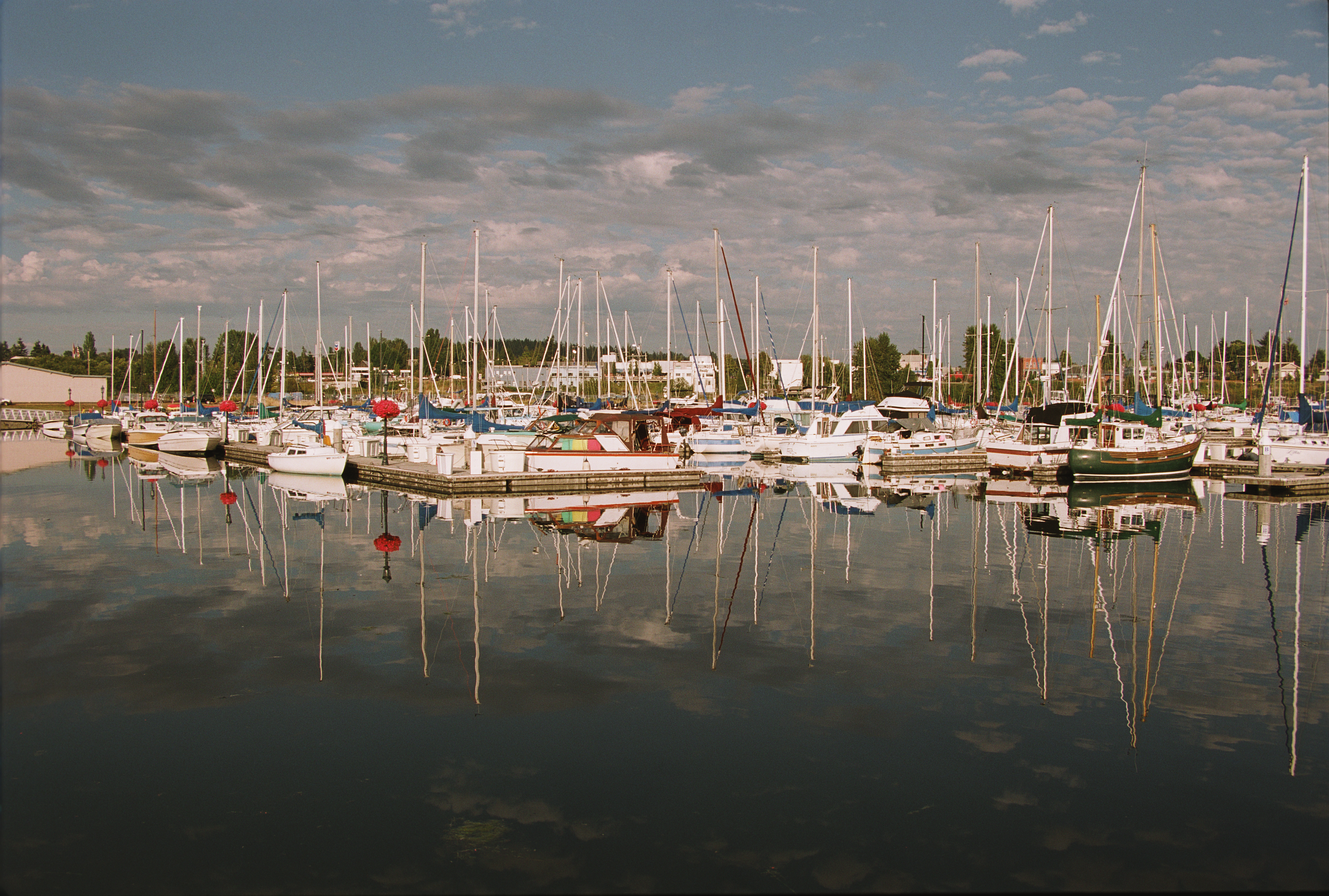 Boats in Blaine Harbor